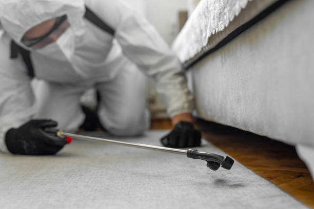 Professional Bed Bug Control technician working in Harrisburg, IL