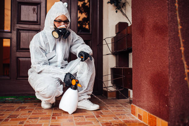 Reliable Bed Bug Control contractor in Harrisburg, IL by Nex Pest Control