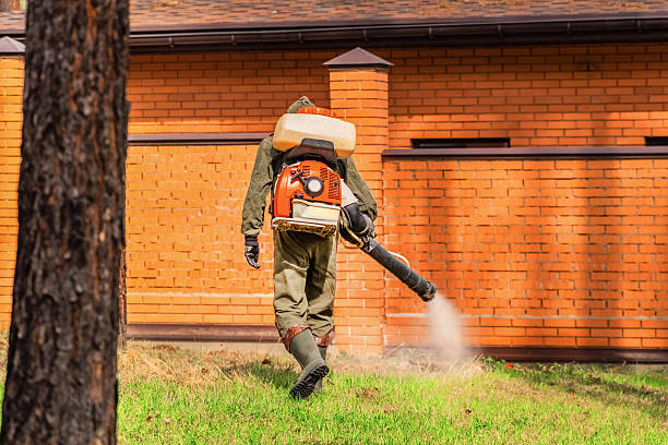 Trusted Cockroach Control service in Harrisburg, IL - Nex Pest Control